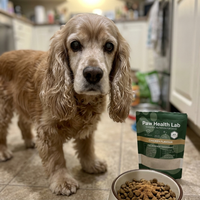 Eleanor W. — Daisy, 14, Cocker Spaniel