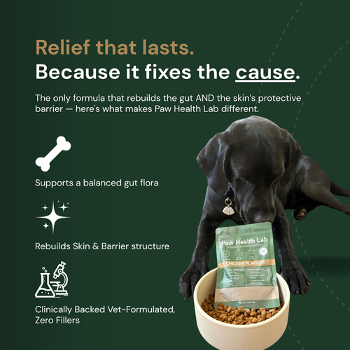Daily Superfood Greens Powder for Dogs