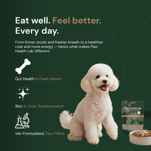 Daily Superfood Greens Powder for Dogs