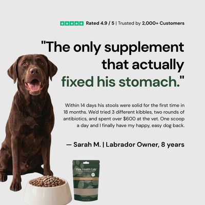 Daily Superfood Greens Powder for Dogs
