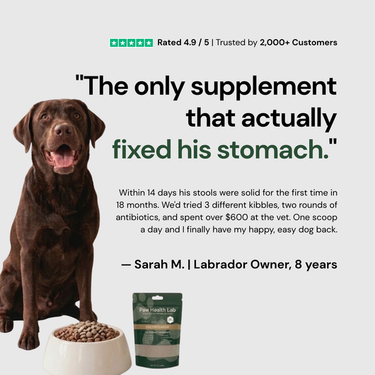 Daily Superfood Greens Powder for Dogs