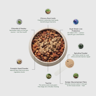 Daily Superfood Greens Powder for Dogs