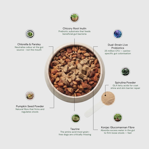 Daily Superfood Greens Powder for Dogs