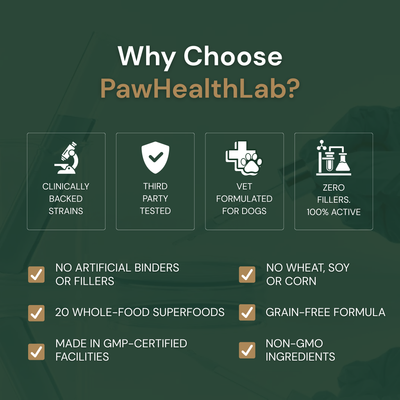 Daily Superfood Greens Powder for Dogs