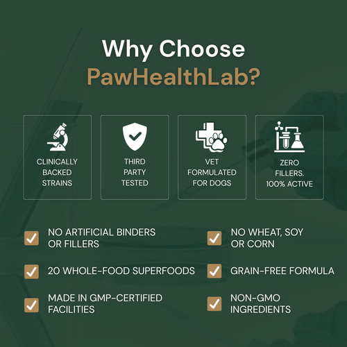 Daily Superfood Greens Powder for Dogs