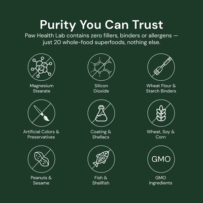 Daily Superfood Greens Powder for Dogs
