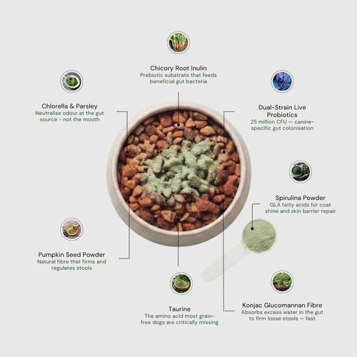 Daily Superfood Greens Powder for Dogs