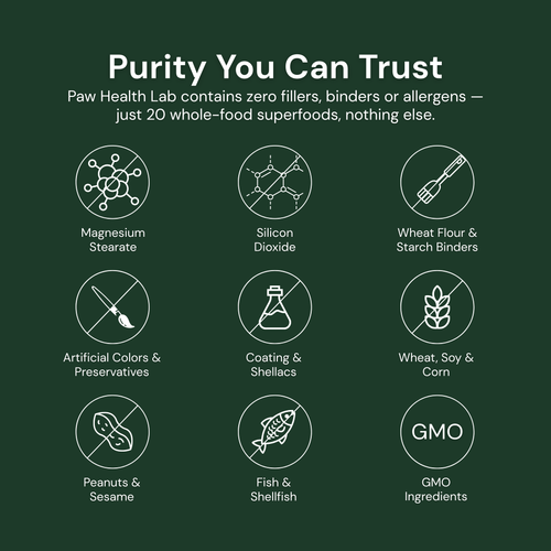 Daily Superfood Greens Powder for Dogs
