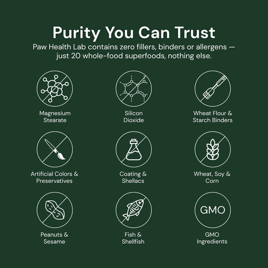 Daily Superfood Greens Powder for Dogs