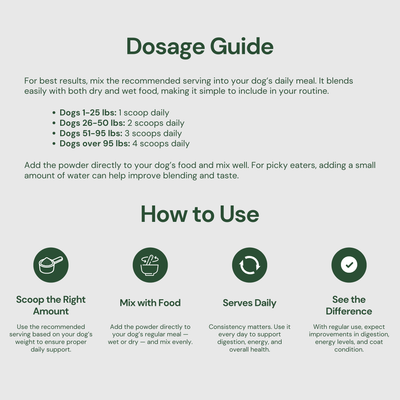 Daily Superfood Greens Powder for Dogs