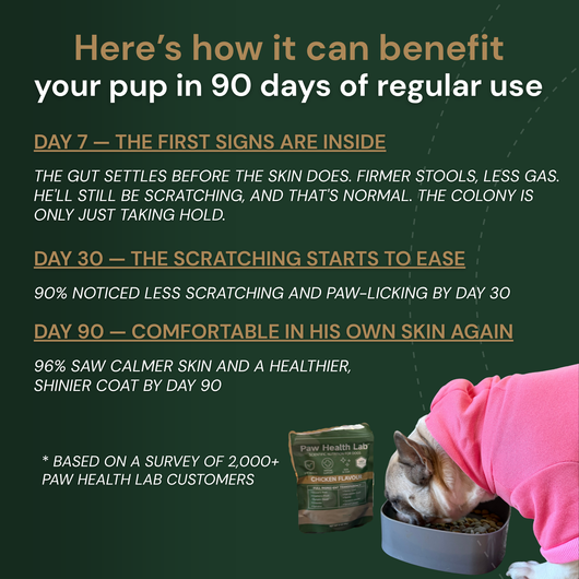 Daily Superfood Greens Powder for Dogs