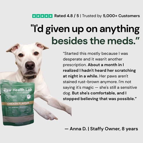 Daily Superfood Greens Powder for Dogs