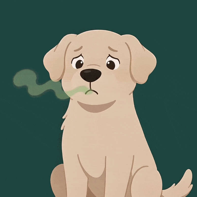 5 Reasons Why Your Dog's Bad Breath Has Nothing to Do With Their Teeth
