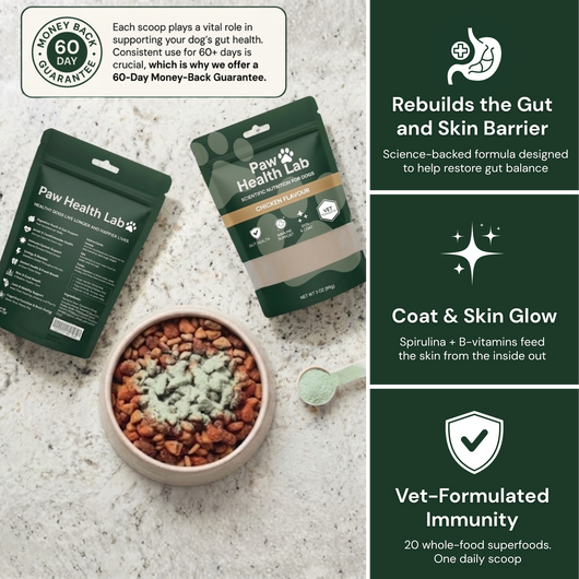 Paw Health Lab Daily Superfood Greens Powder, 6 bags