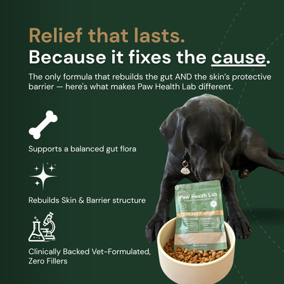 Daily Superfood Greens Powder for dogs