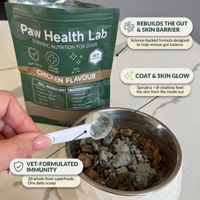 Daily Superfood Greens Powder for Dogs