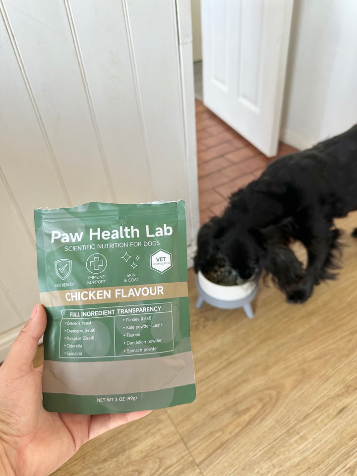 Customer dog with the Paw Health Lab bag